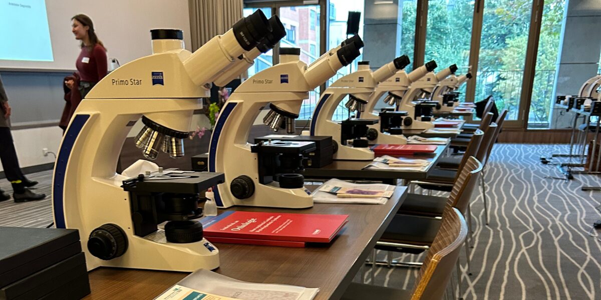 Mikroskope, die in einer Reihe in einem Büroraum mit dunklen Teppichboden auf einem länglichen Tisch stehen.